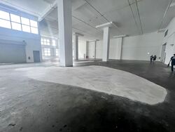 Pioneer Road (D22), Factory #572110831